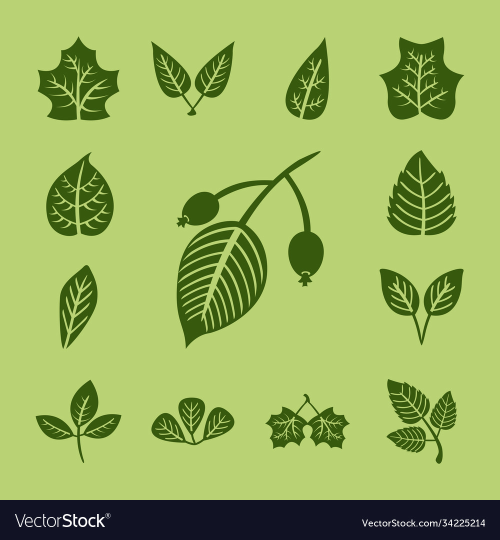 Bundle autumn leaves silhouette style in green