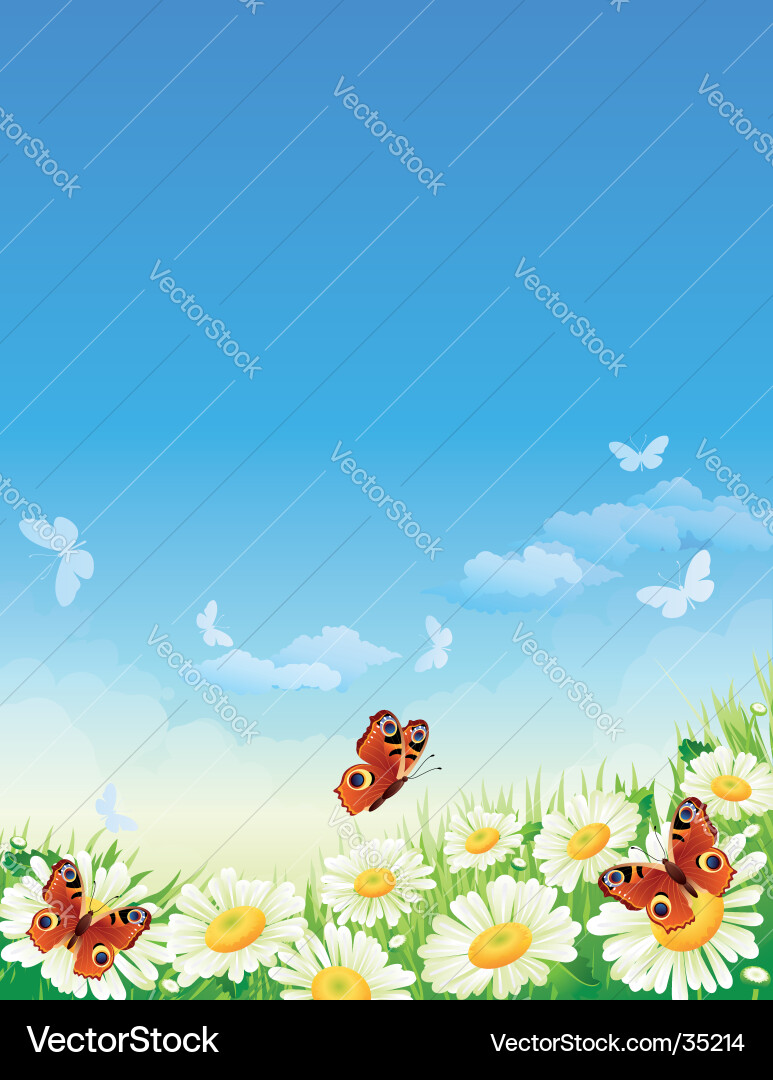 Butterfly Royalty Free Vector Image - VectorStock