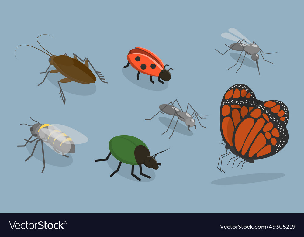 3d isometric flat set of insects Royalty Free Vector Image