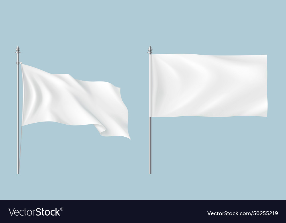 Flattering and plain mockup flags realistic set Vector Image