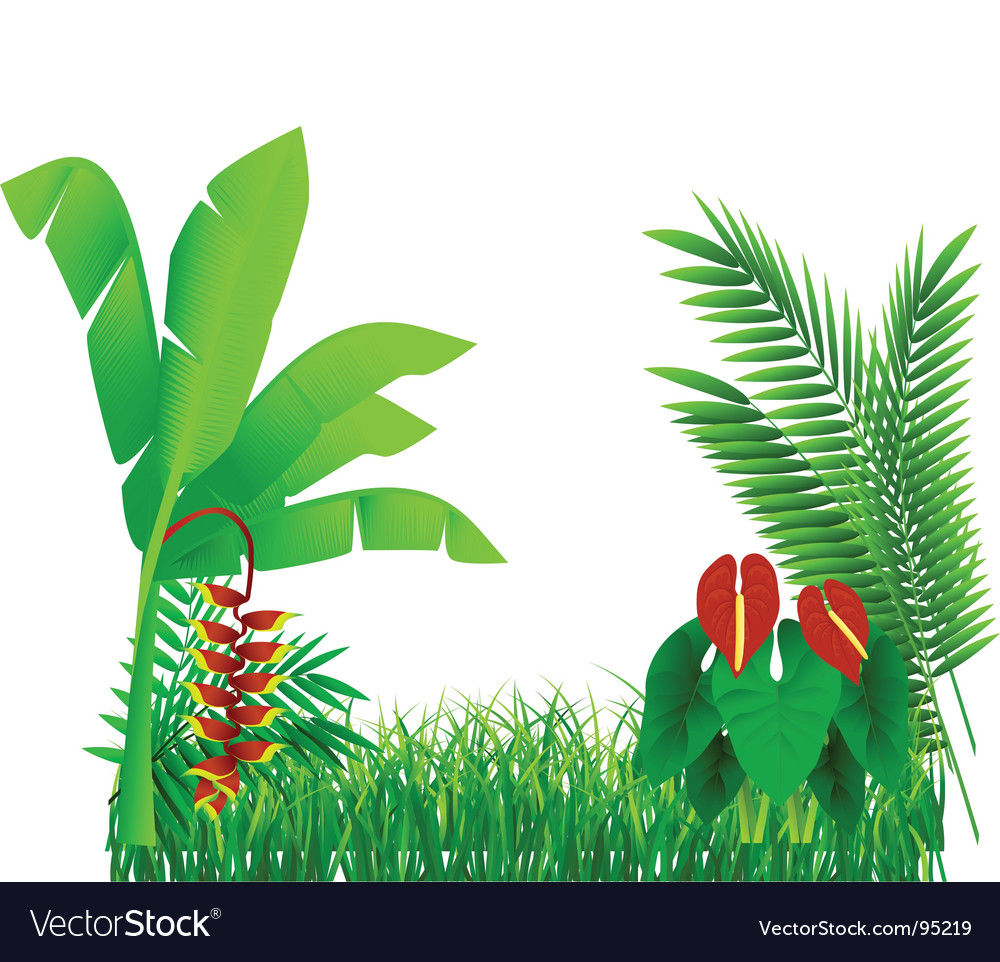 Forest Royalty Free Vector Image - VectorStock