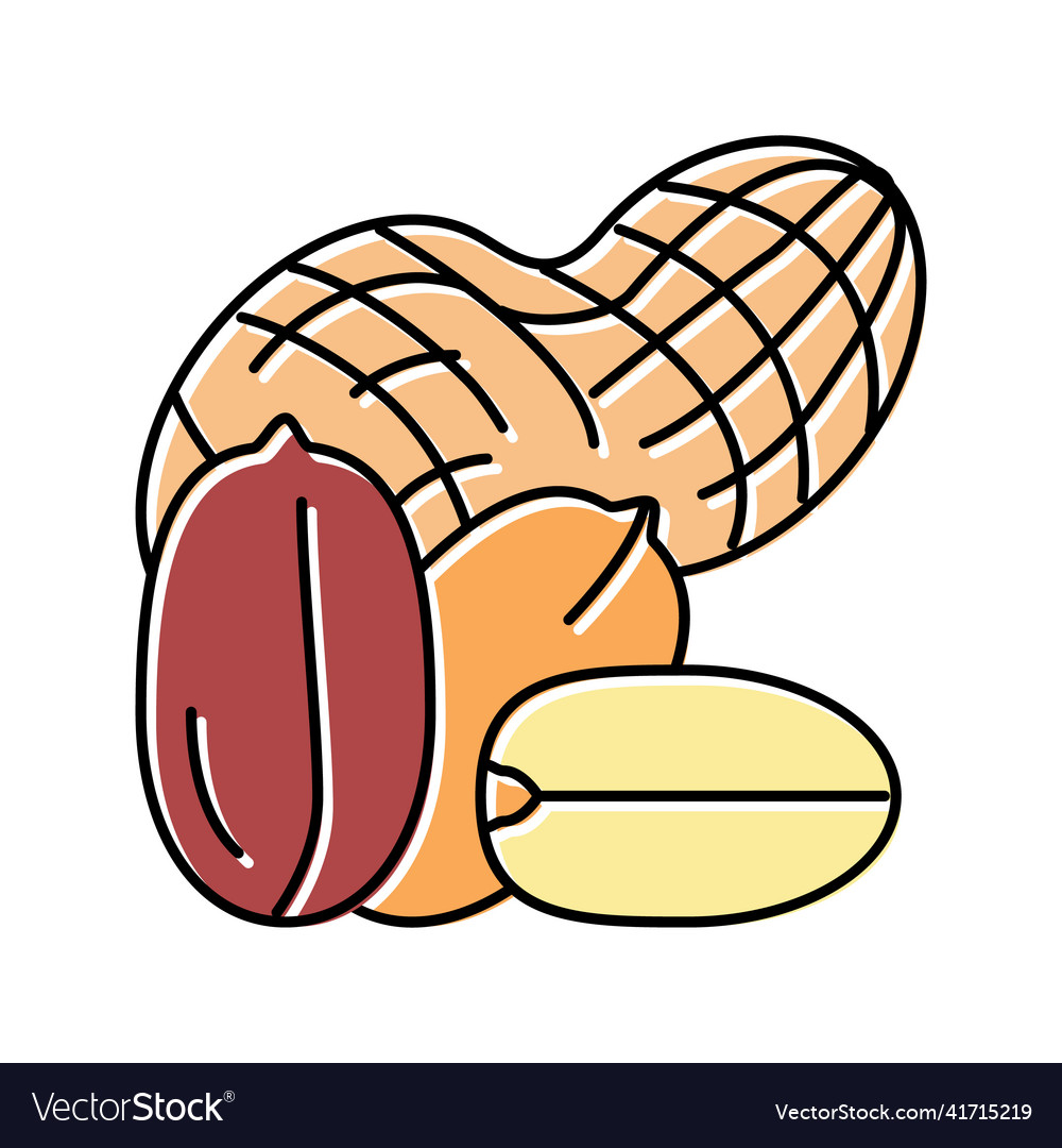 Erdnuss-Nuss-Farbsymbol