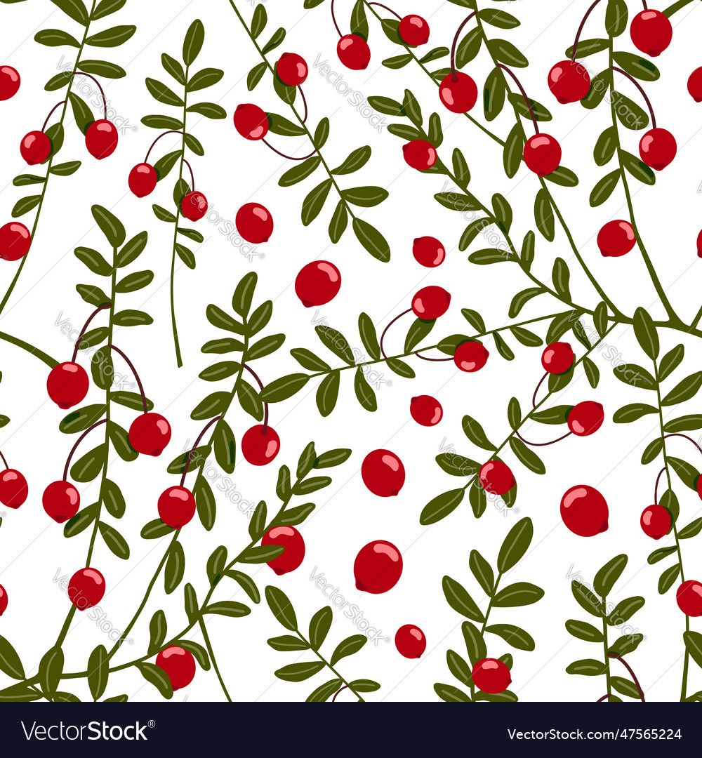 Cranberry seamless pattern northern red berries vector image Cranberry seamless pattern northern red berries