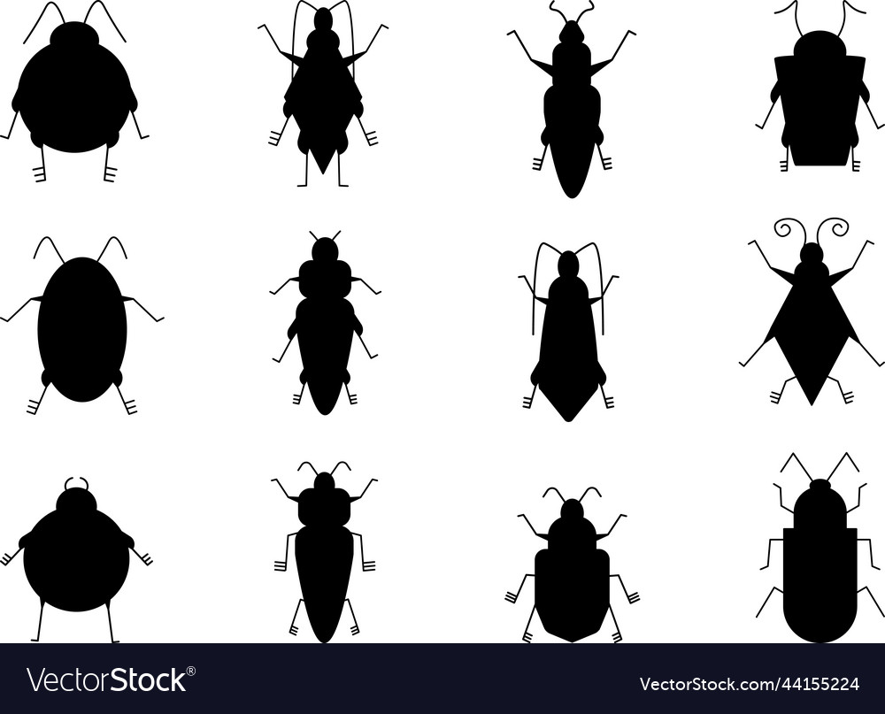 Flat insect bug set vector image Flat insect bug set