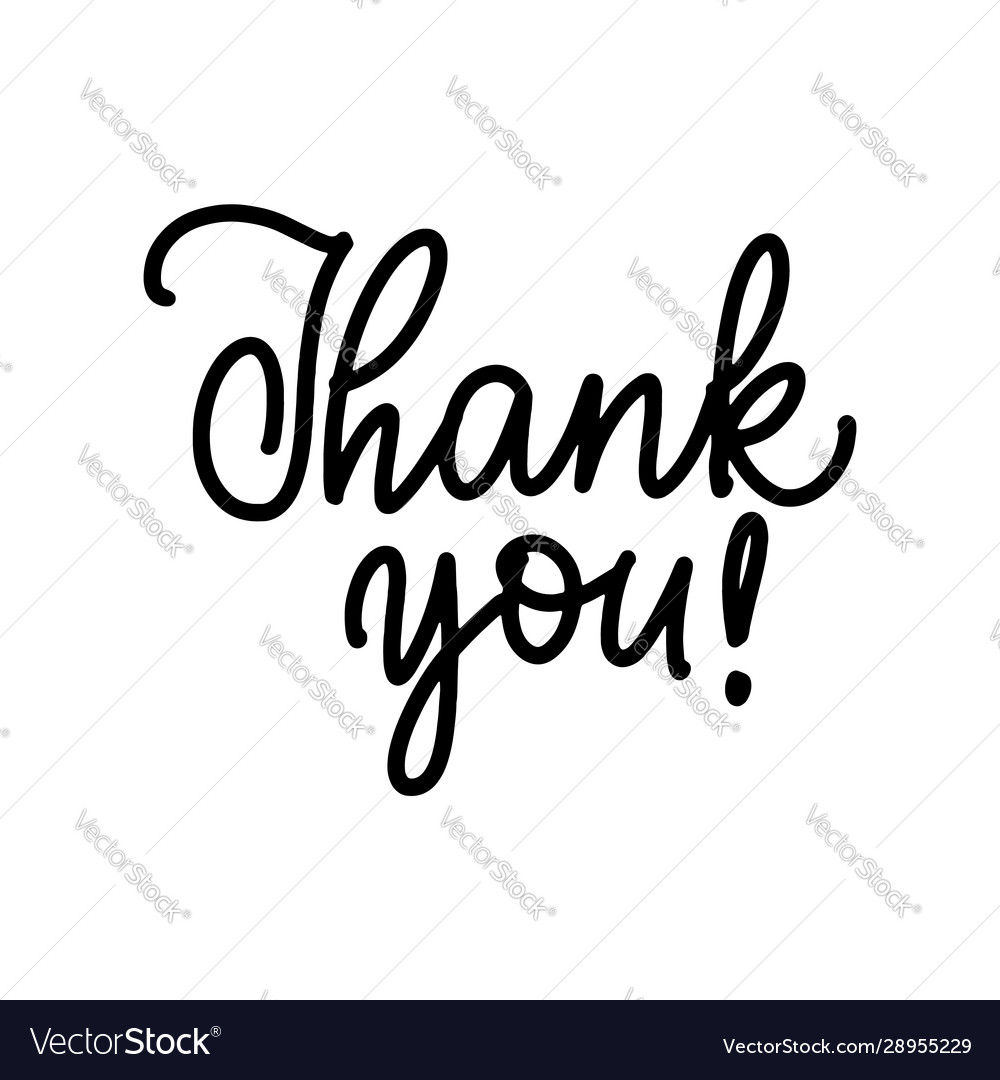 Lettering thank you wrote brush Royalty Free Vector Image