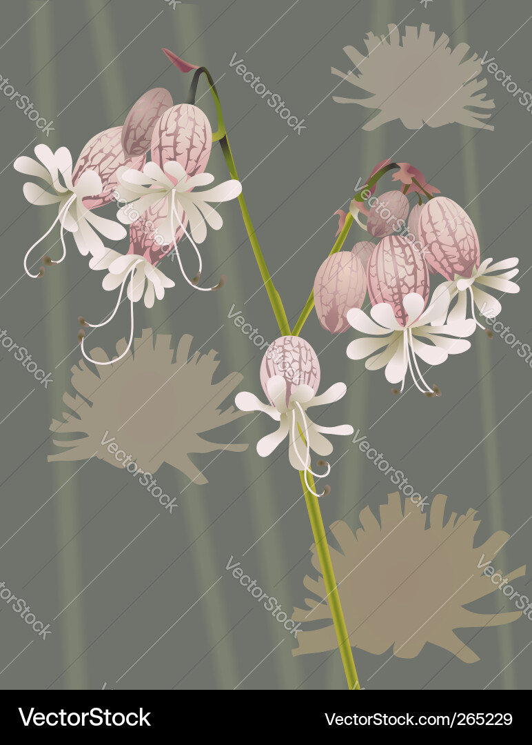 Wild flower Royalty Free Vector Image - VectorStock