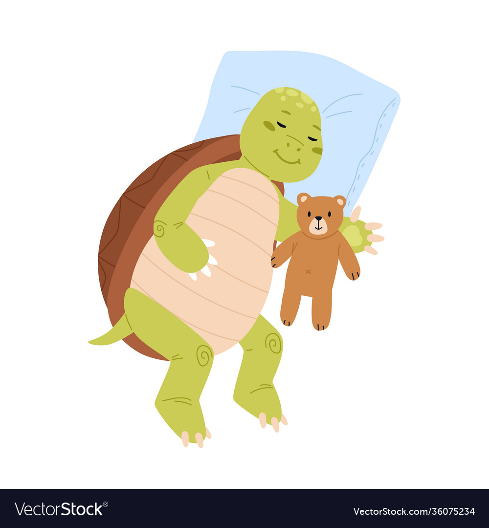 Cute and funny turtle sleeping with teddy bear Vector Image