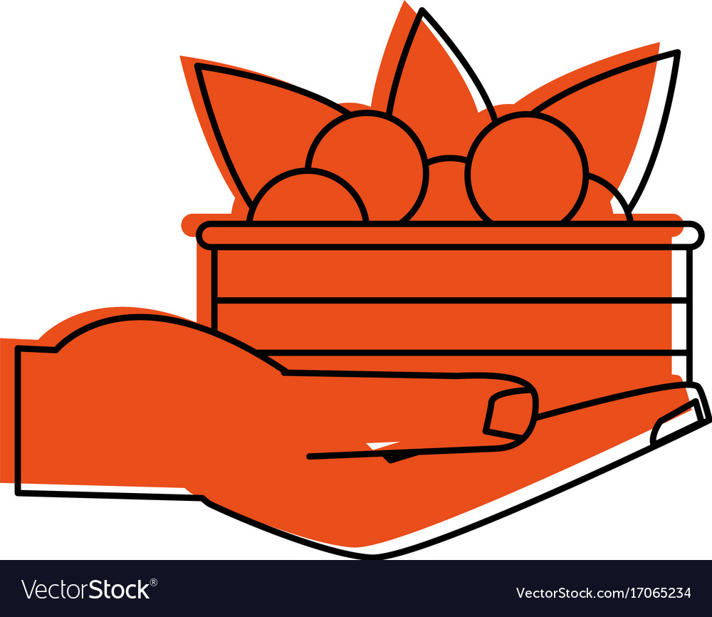 Hand holding salad food icon image