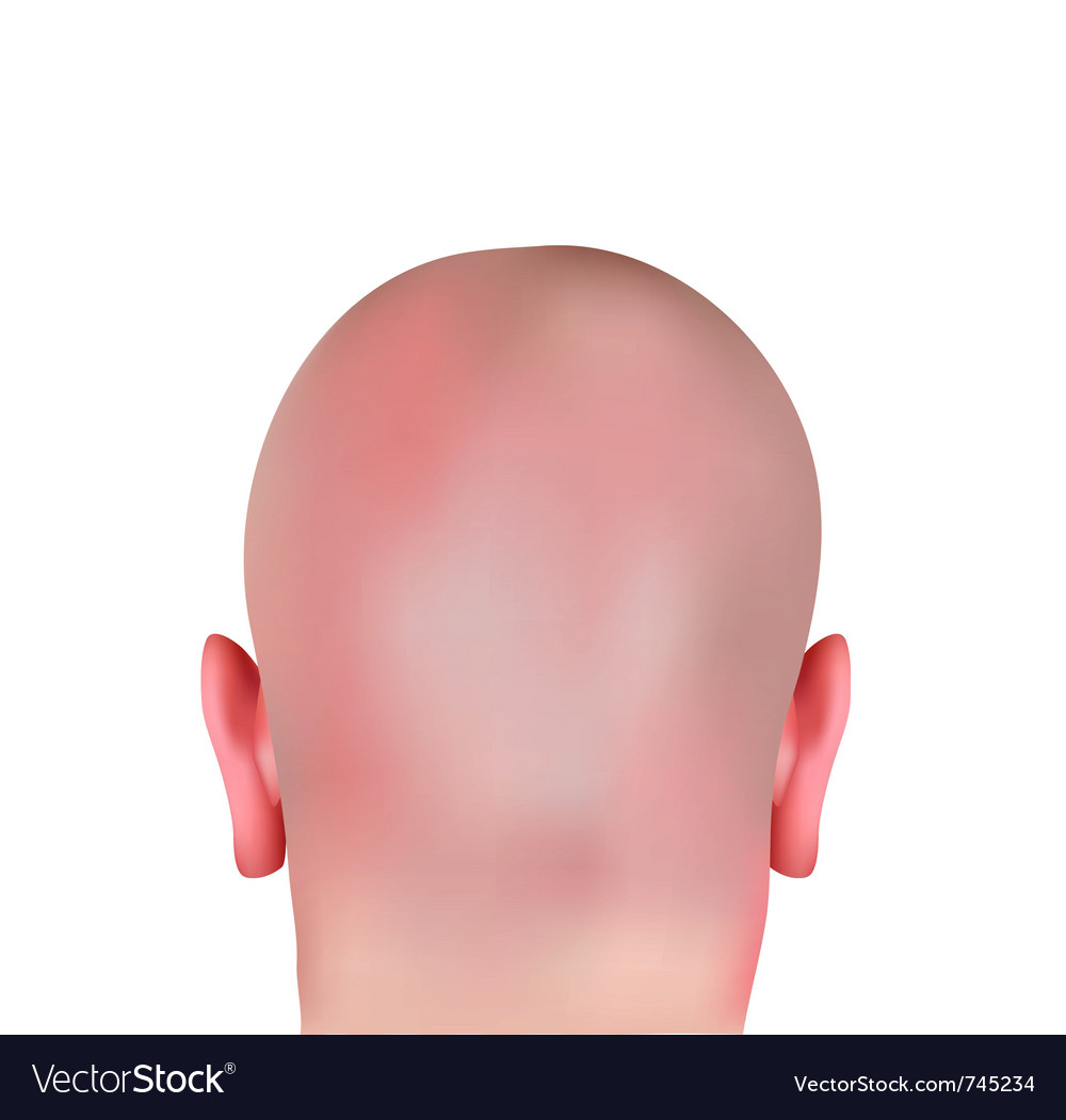 Realistic bald head