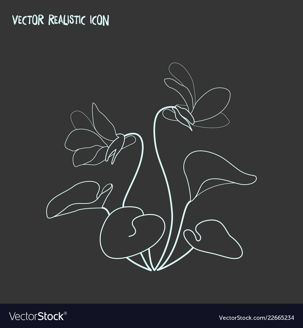 Viola icon line element vector image Viola icon line element