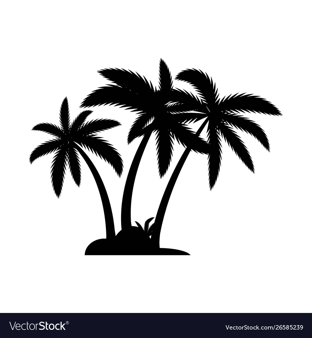 Palm tree summer logo template Royalty Free Vector Image