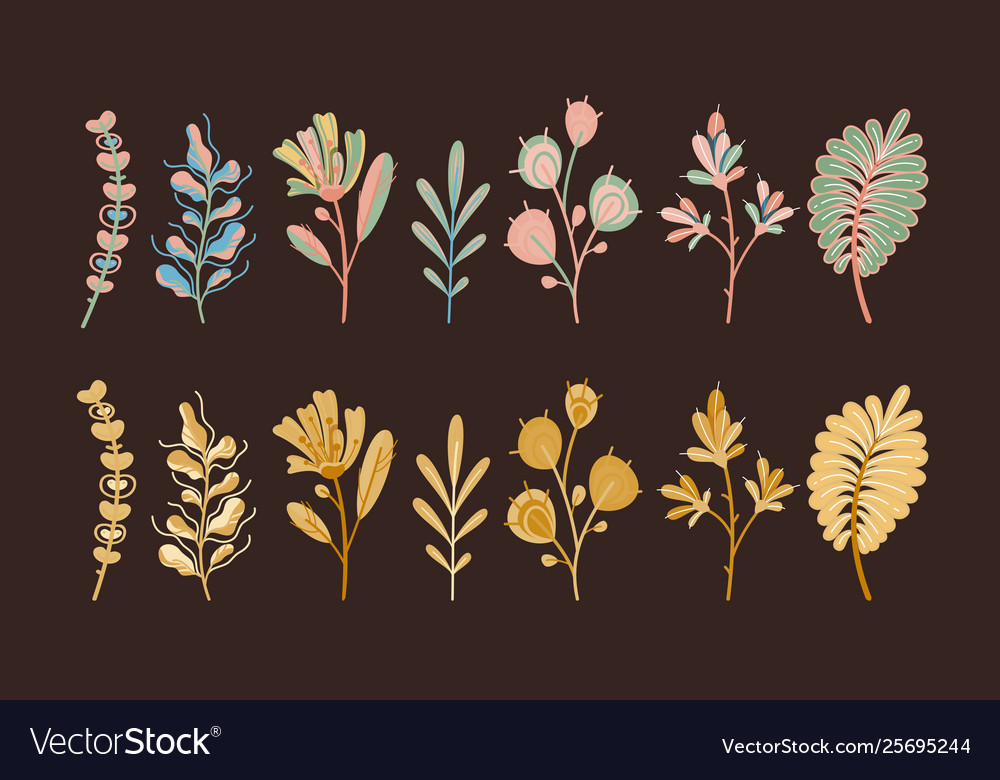Autumn plants forest cute abstract leaves vector image Autumn plants forest cute abstract leaves