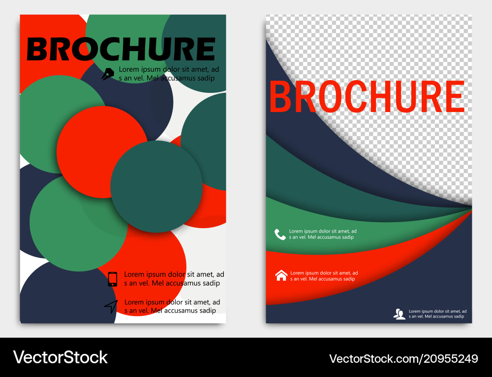 Business Brochure Design Template Flyer Layout Vector Image