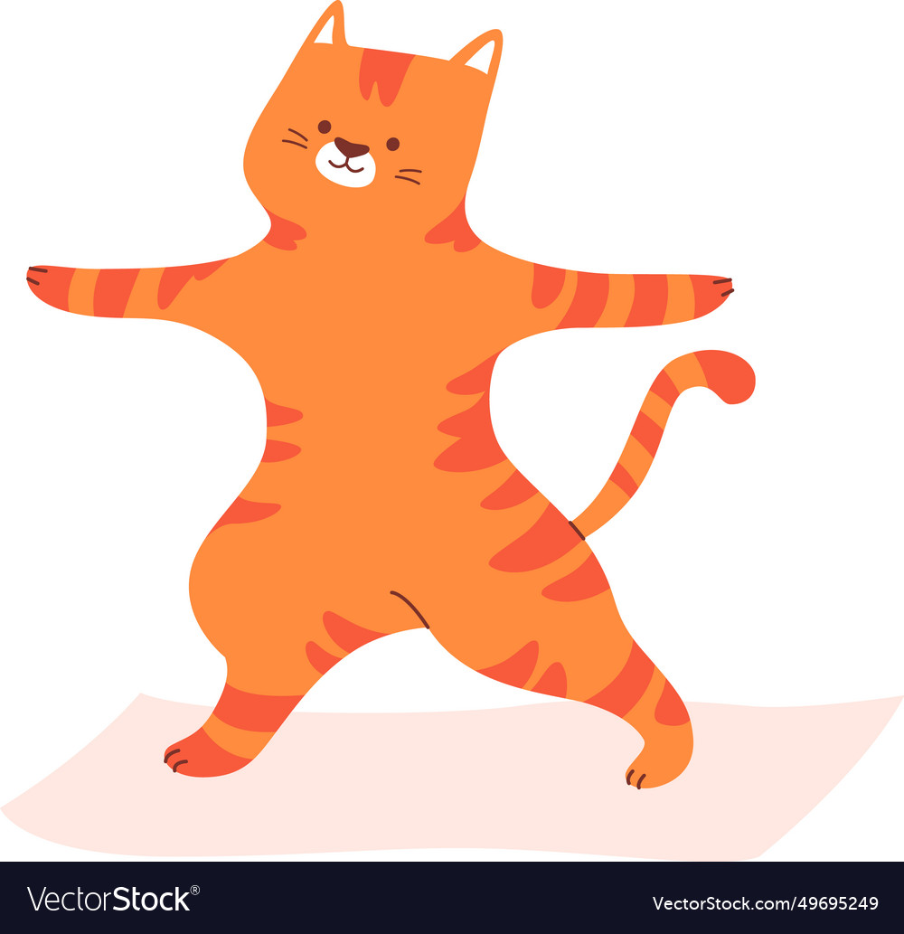 Cat Doing Yoga