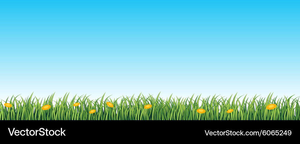 Green grass seamless background Royalty Free Vector Image