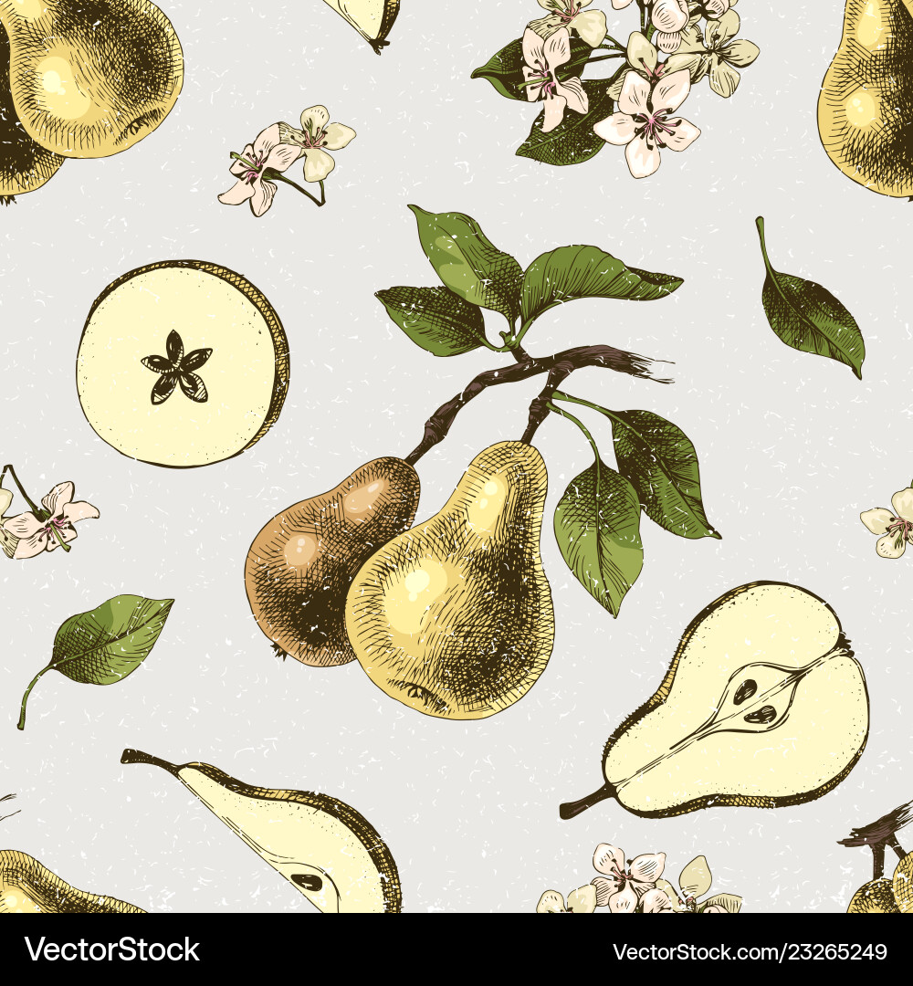 Seamless pattern with hand drawn pears Royalty Free Vector