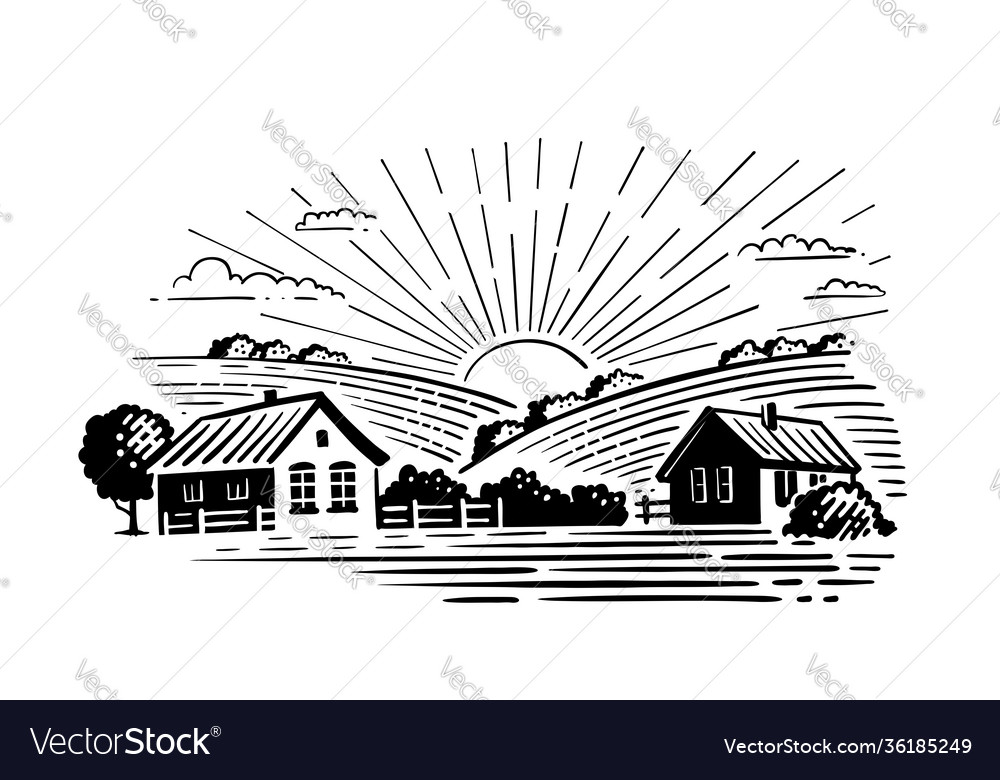 Village with fields and sun Royalty Free Vector Image