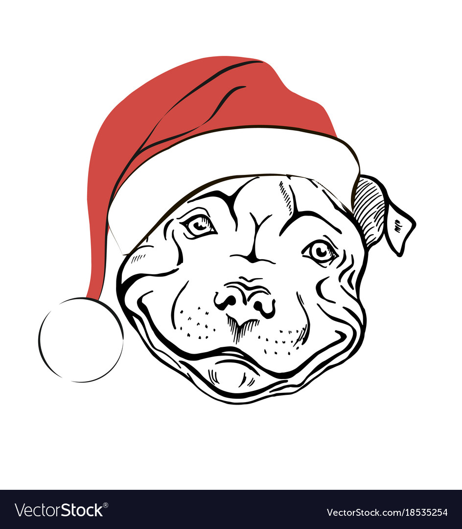 Dog on sale santa hat