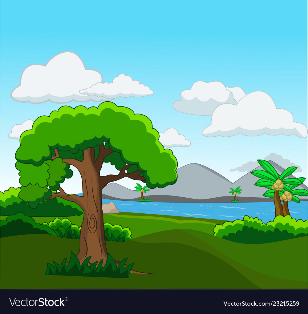 Forest scene with many trees and river