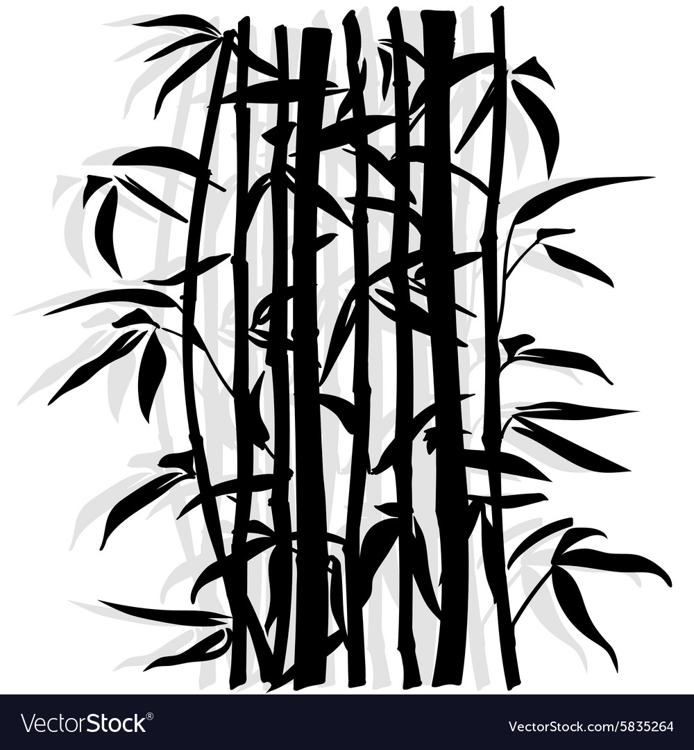 Bamboo leaf background The top of the bamboo Vector Image