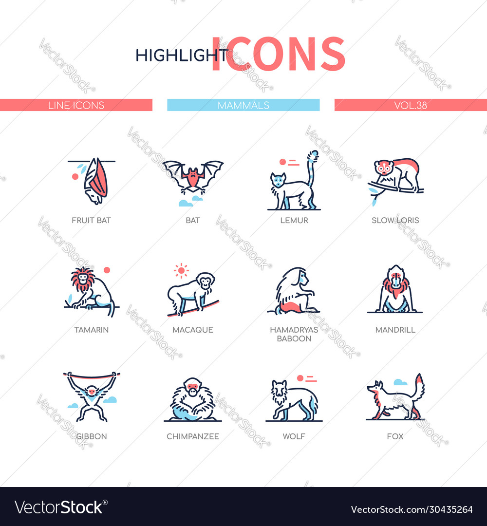 Different mammals - modern line design style icons