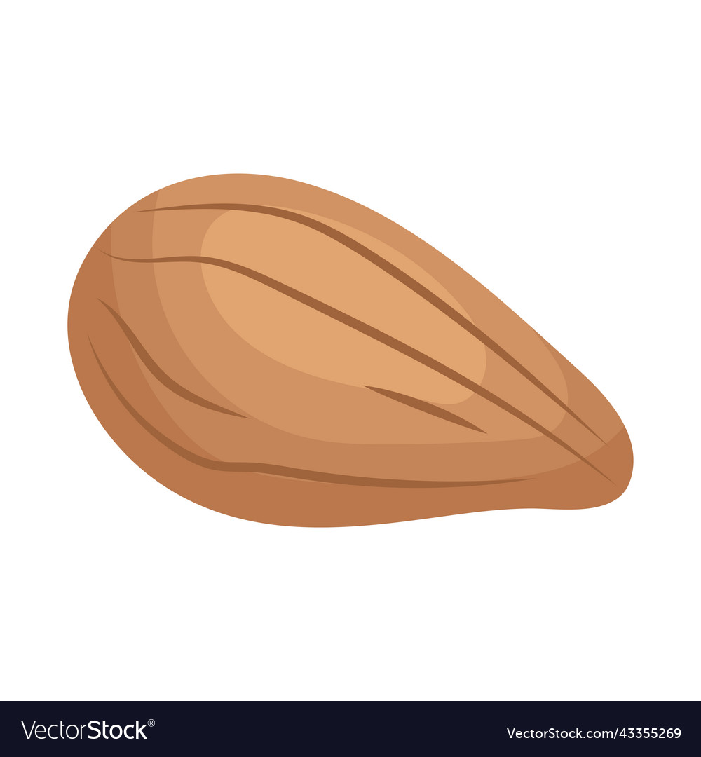 Almond icon image