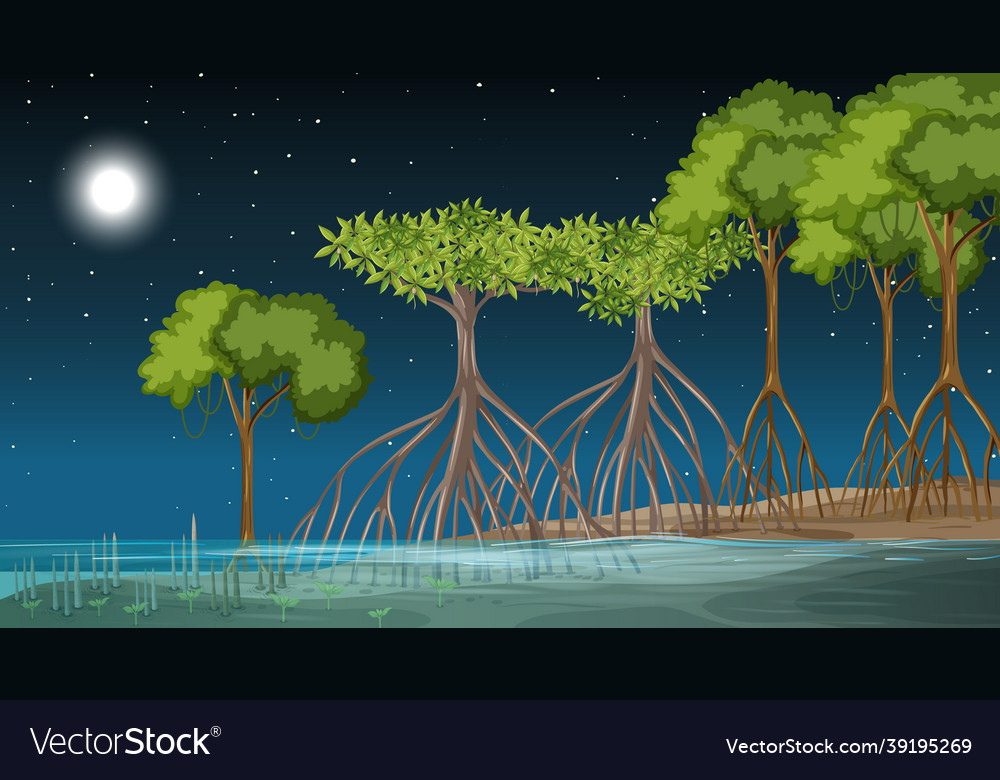 Mangrove Waldlandschaft Szene in der Nacht