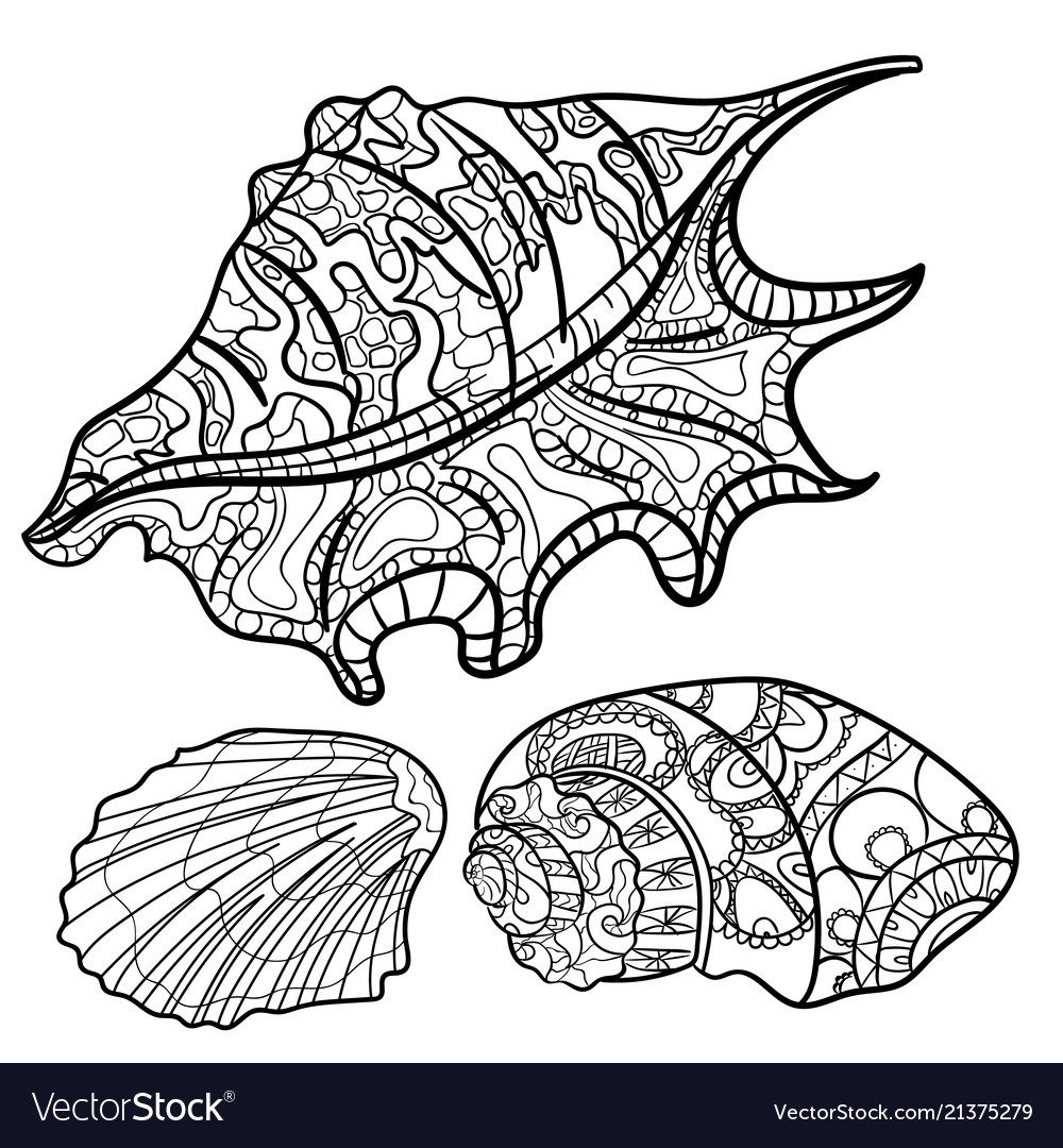 Seashells shell pattern set coloring book