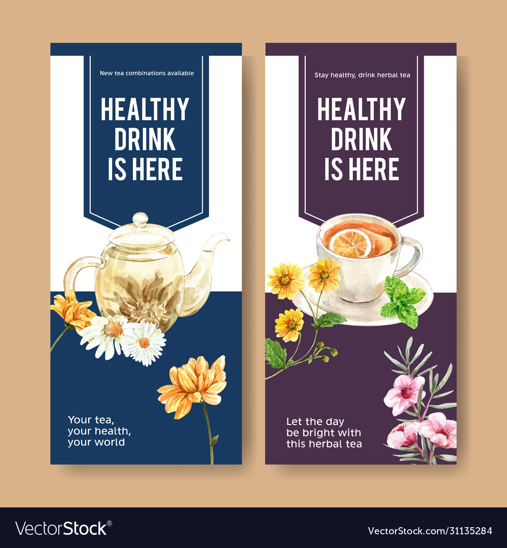 Herbal Tea Flyer Design With Peppermint Chamomile Vector Image