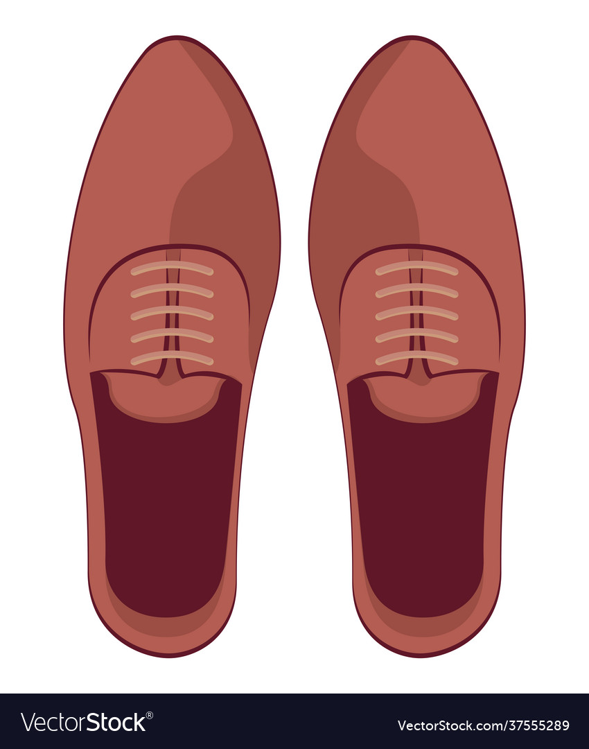 Elegant brown shoes Royalty Free Vector Image - VectorStock