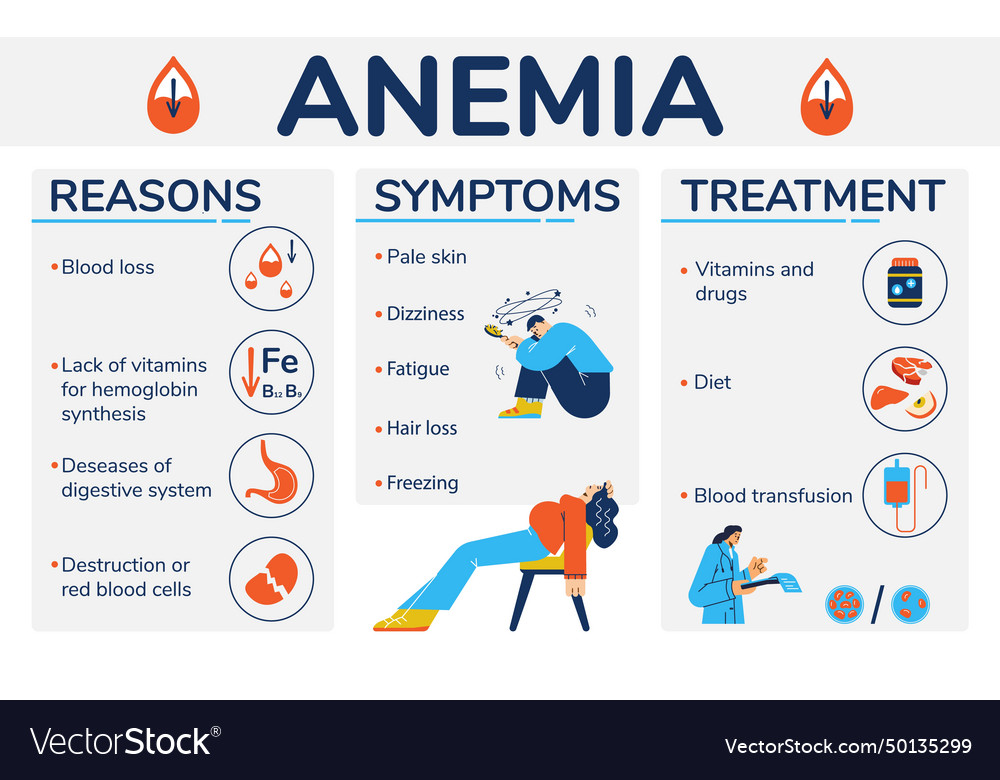 Anemia reasons symptoms and treatment medical Vector Image