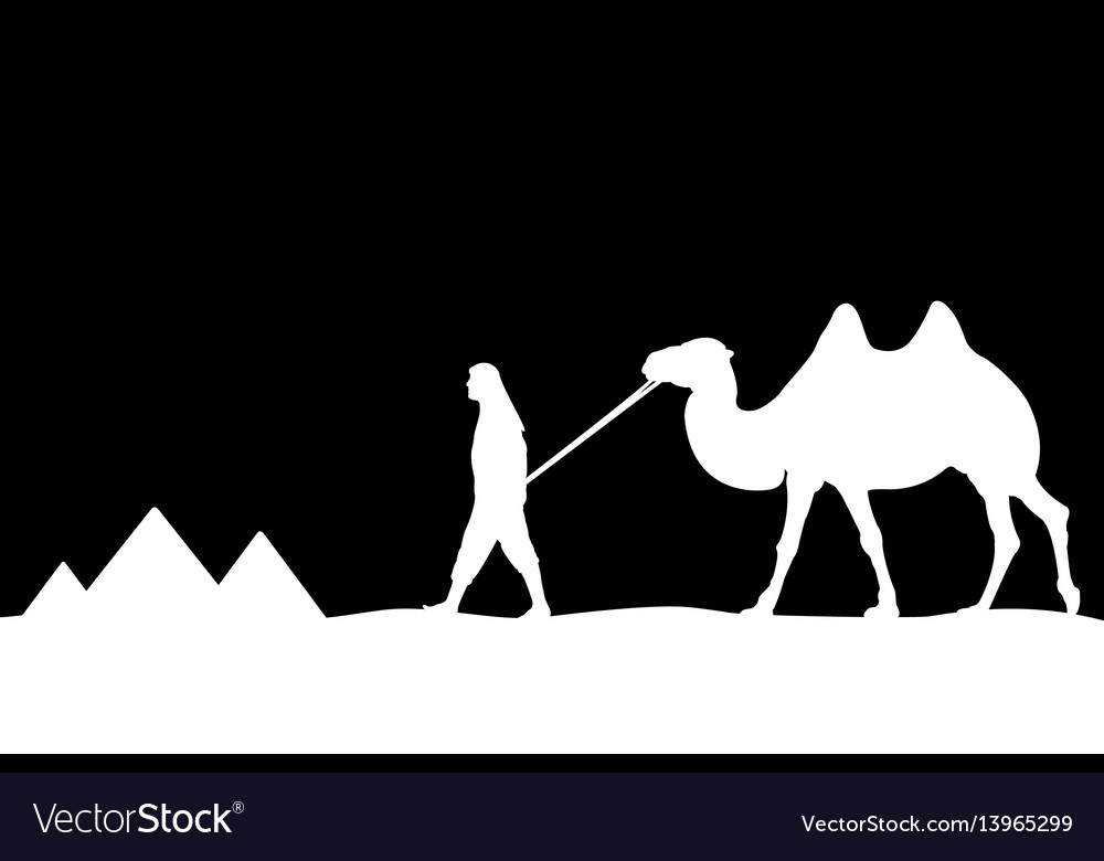 Man with camel of the pyramids