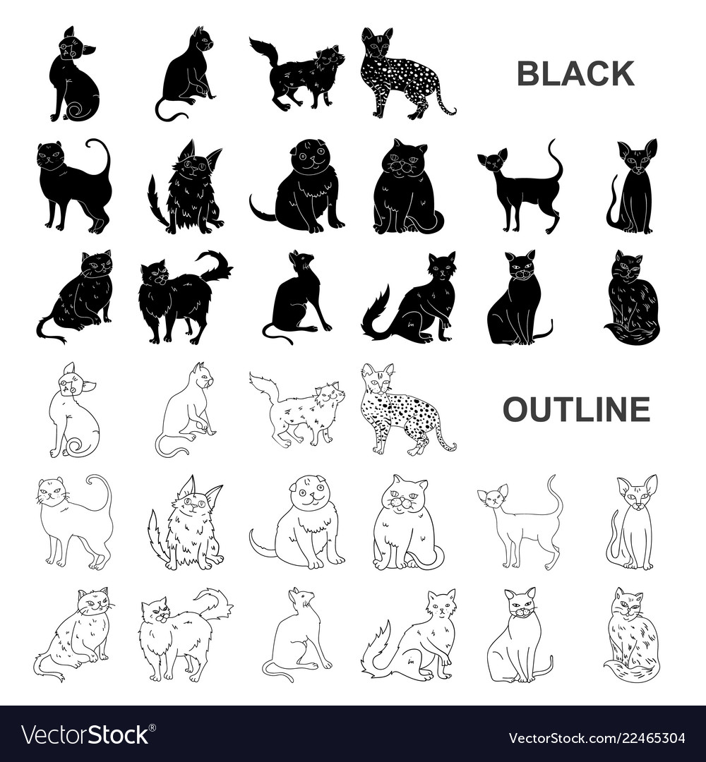 Zucht Katzen schwarze Icons in Set-Sammlung