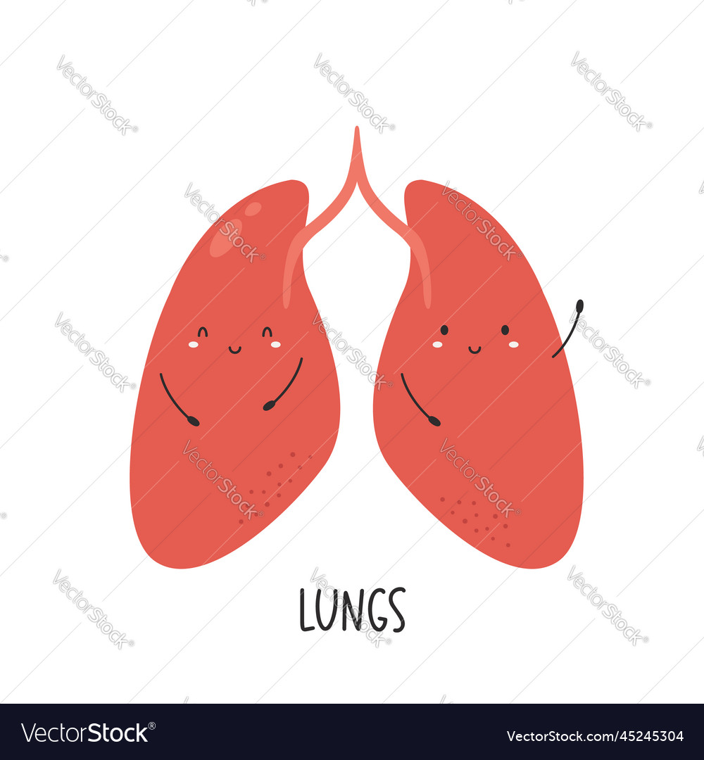 Cute healthy lungs Royalty Free Vector Image - VectorStock