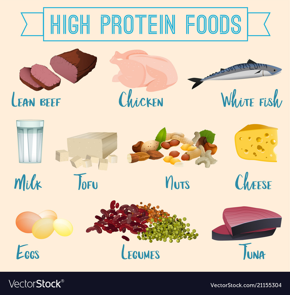 High Protein Foods Set Royalty Free Vector Image