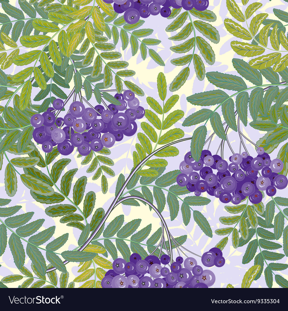 Seamless pattern rowanberries background