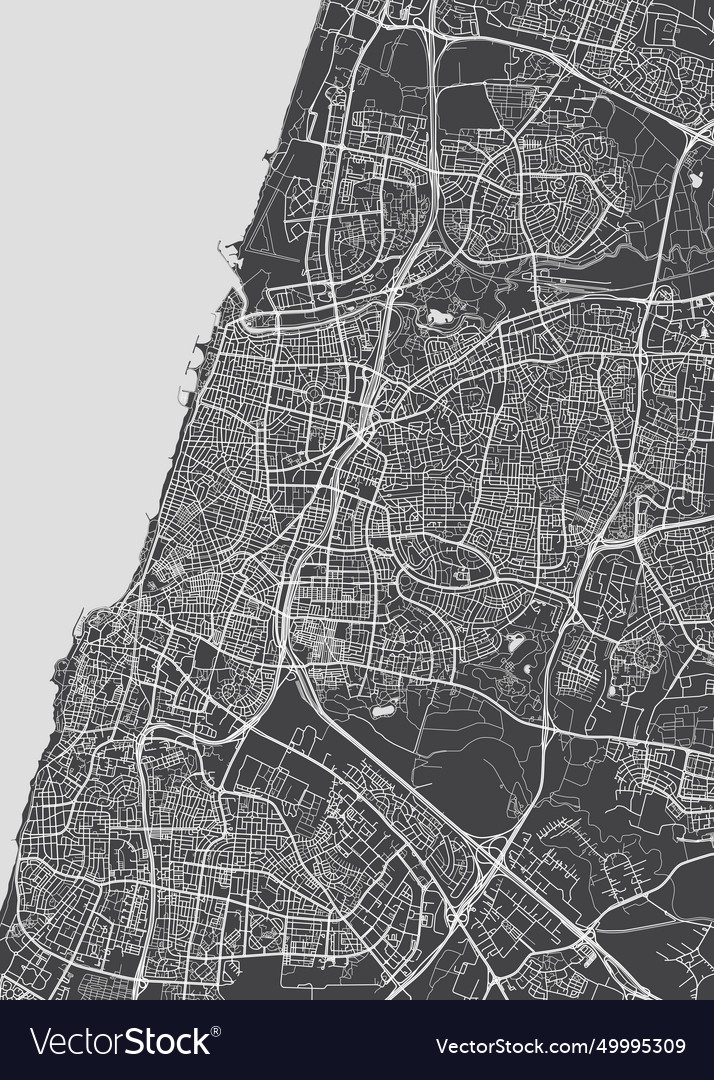 City map tel aviv monochrome detailed plan