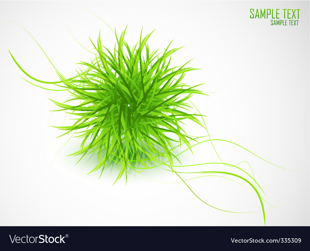 Natural elements background Royalty Free Vector Image