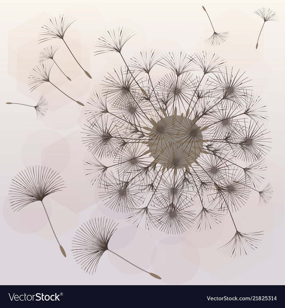 Abstract background of a dandelion for design vector image Abstract background of a dandelion for design