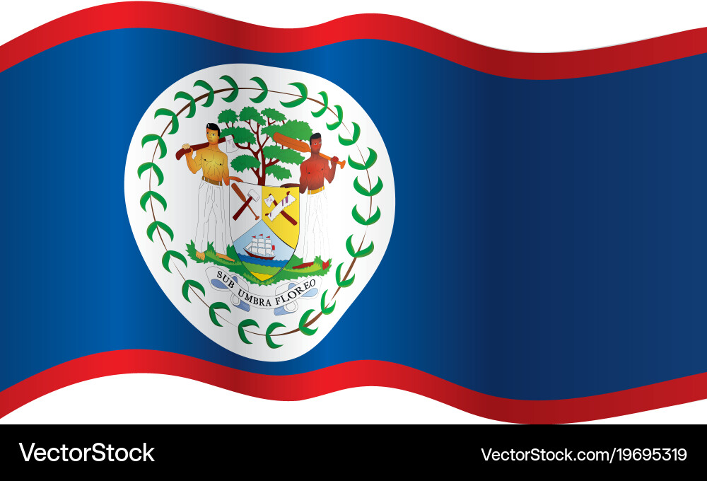 Belize flag Royalty Free Vector Image - VectorStock