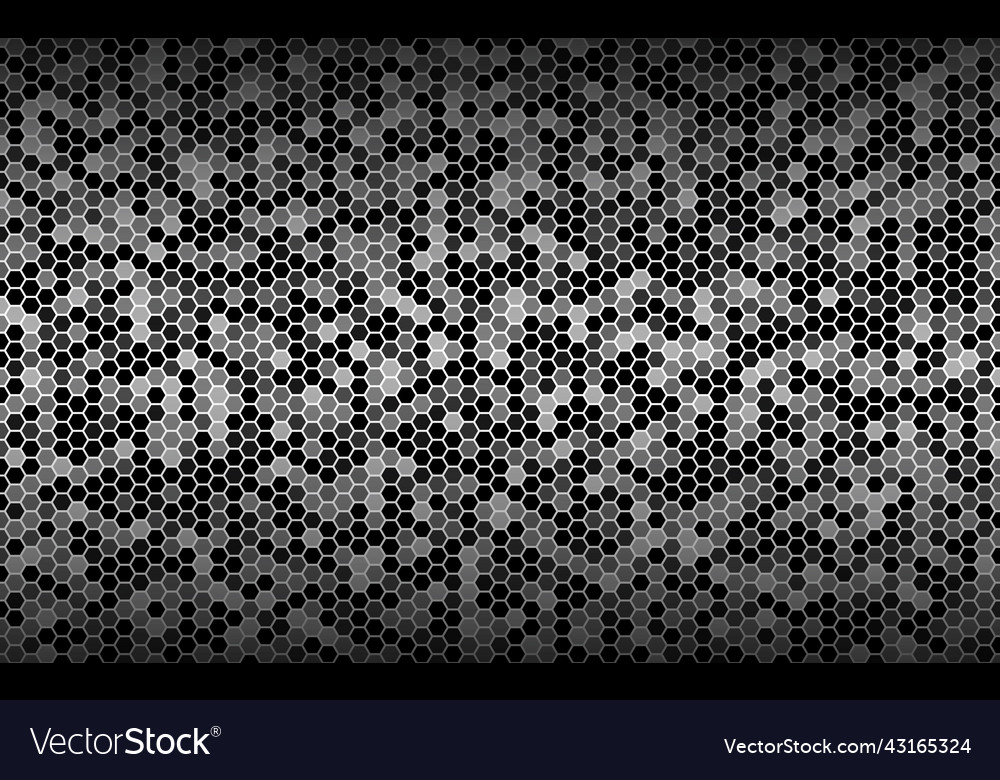 Black and white background with hexagonal mesh vector image Black and white background with hexagonal mesh