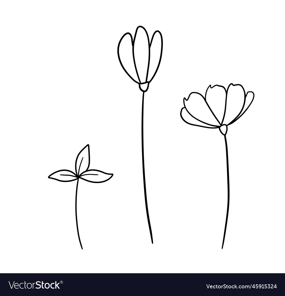 Hand drawn wildflowers outline flowers Royalty Free Vector