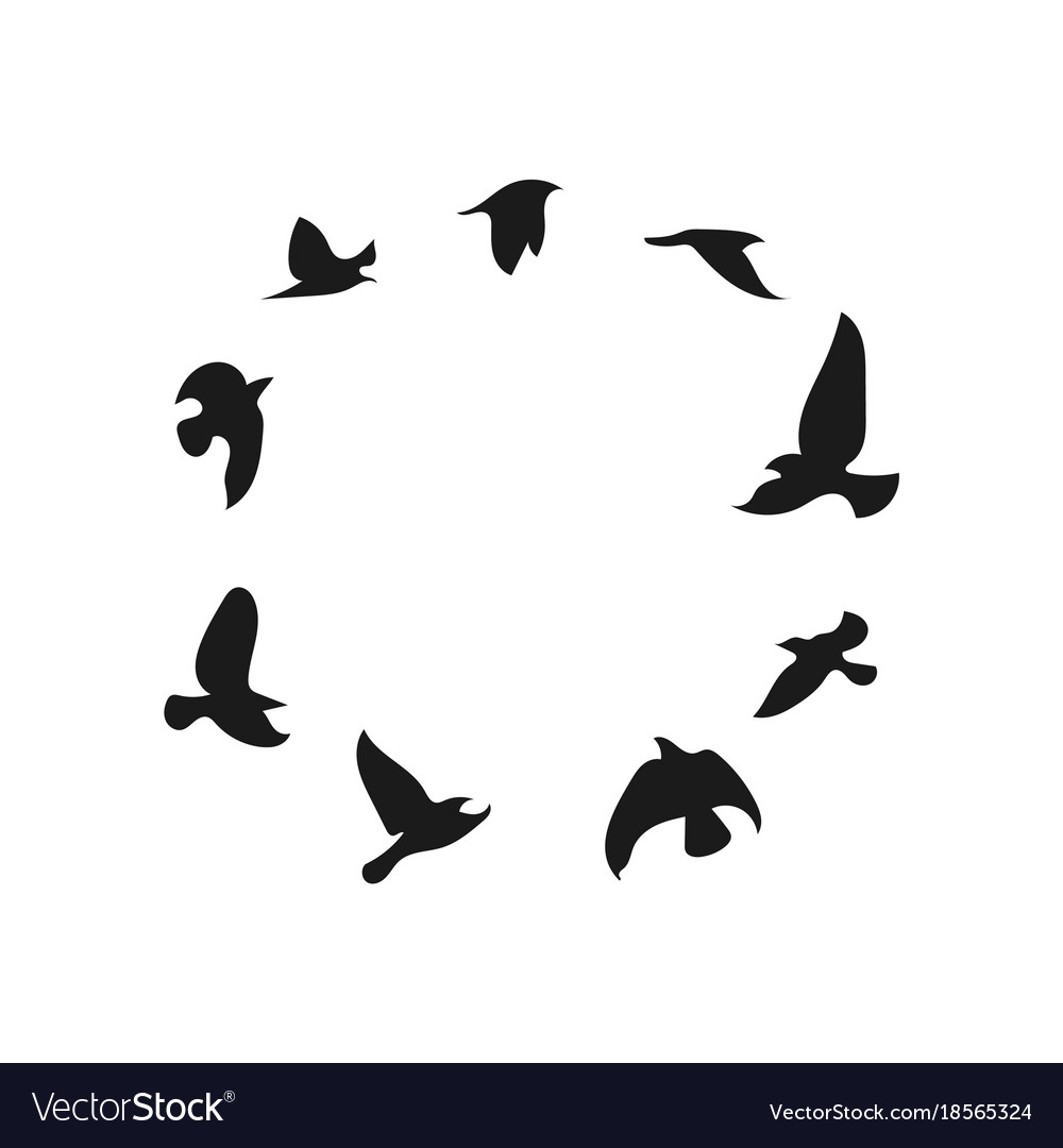 Silhouette of a flock birds black contours