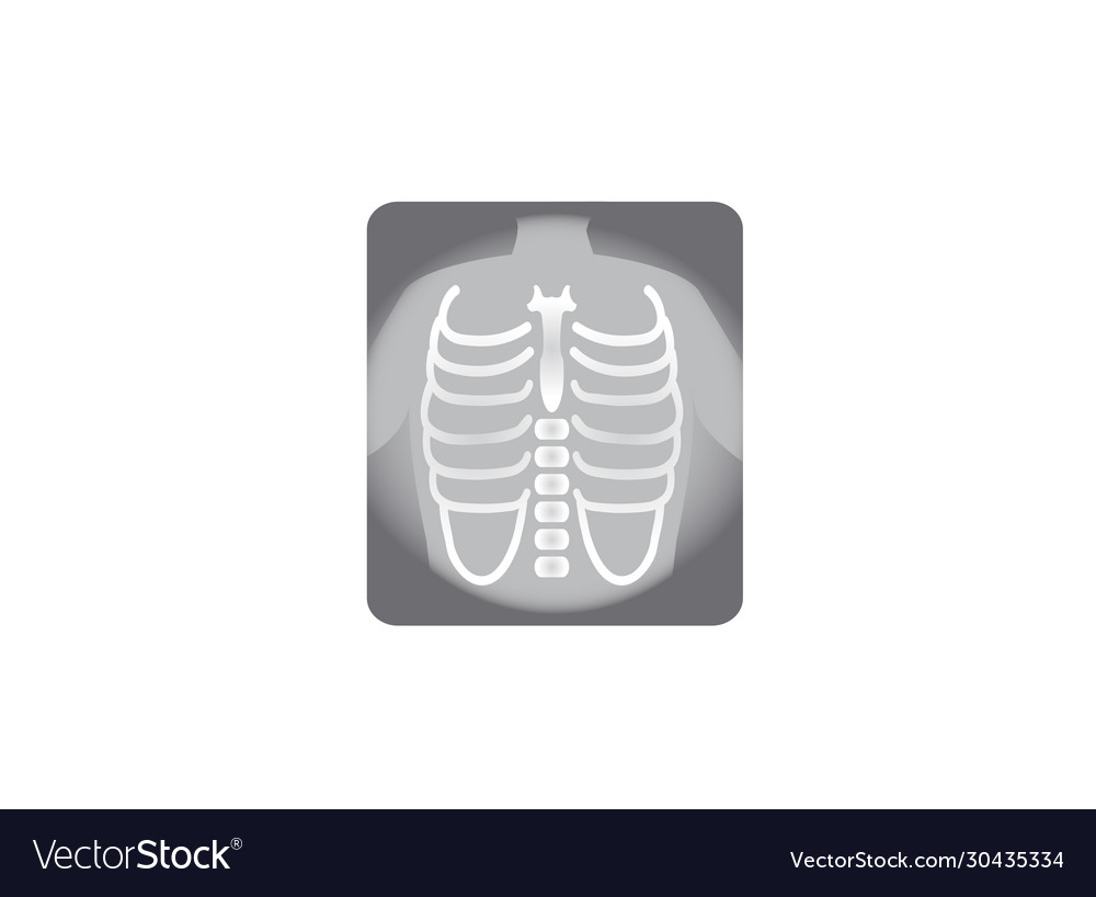 X-ray shot chest human body bones radiography Vector Image