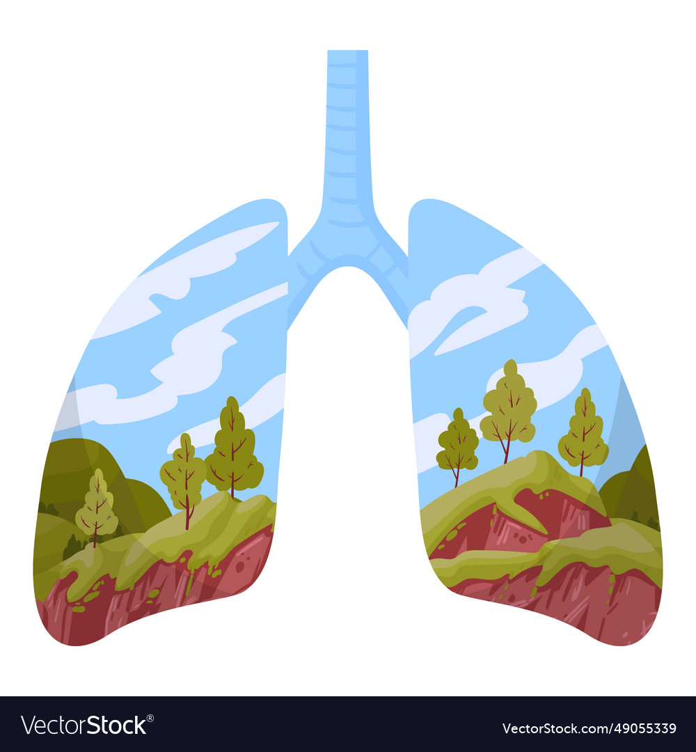 Cartoon clean lungs human healthy fresh Royalty Free Vector