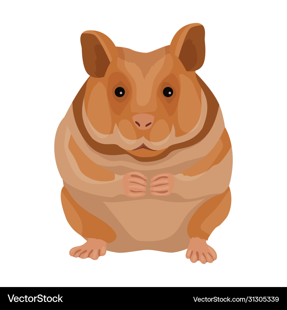 Hamster Iconcartoon Icon Isolated Royalty Free Vector Image