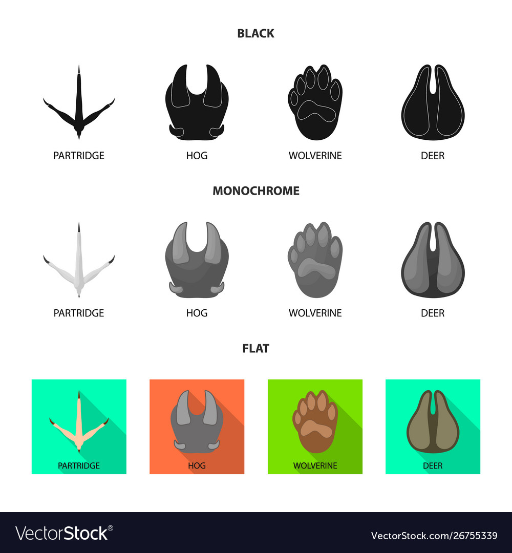Isolated object step and walk symbol set