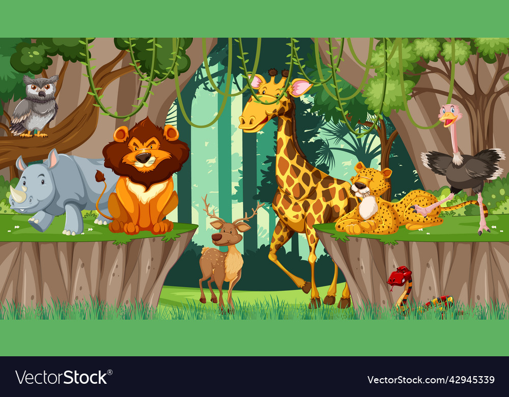 Various animals in the forest