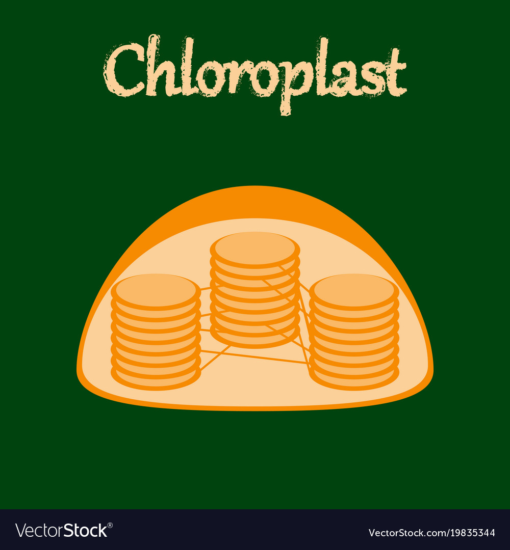 Icon in flat style chloroplast