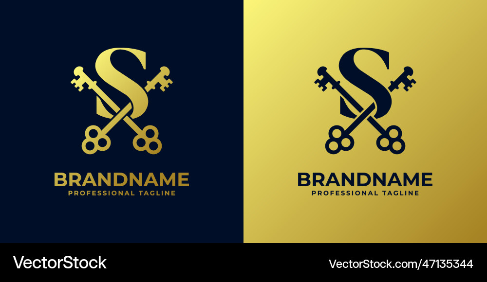 Letter s with double key logo suitable for any Vector Image